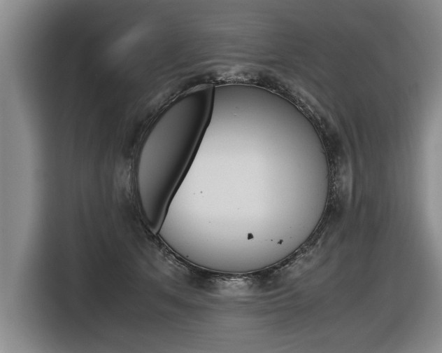X0000116560513200912100946
