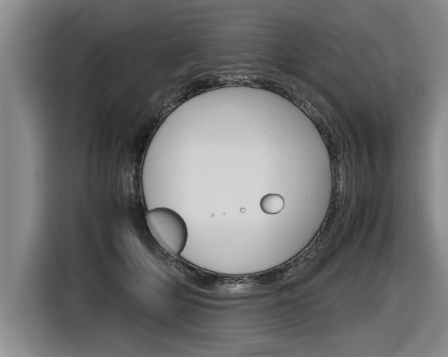 X0000116560514200912100946