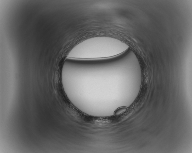 X0000116560515200912100946