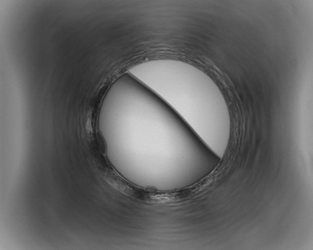 X0000116560516200912100946