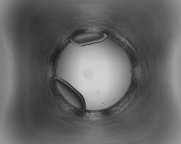 X0000116560517200912100946