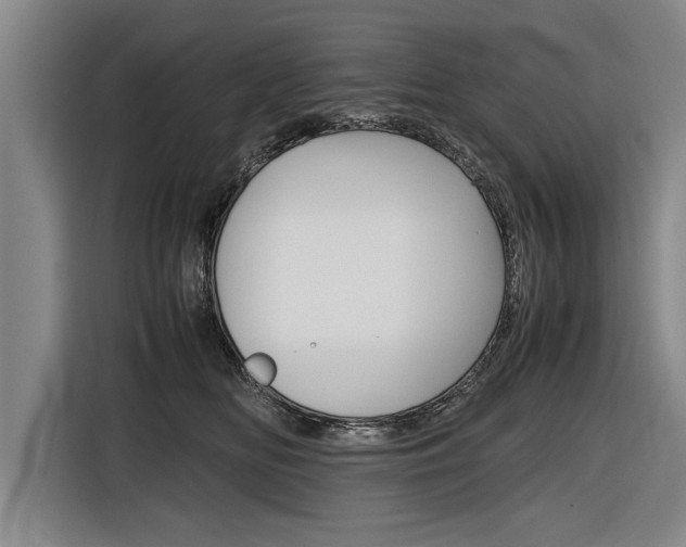 X0000116560518200912100946