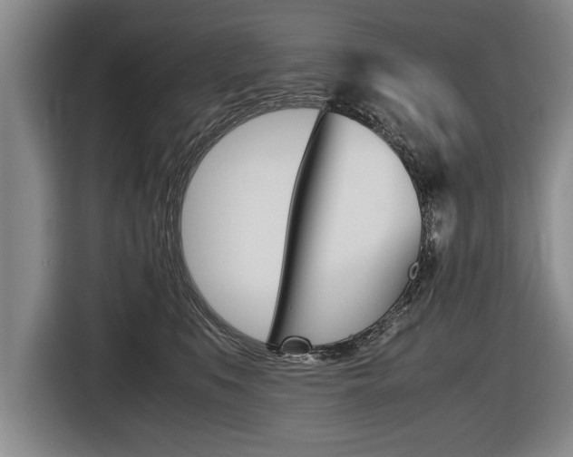 X0000116560519200912100946
