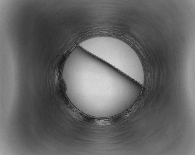 X0000116560520200912100946