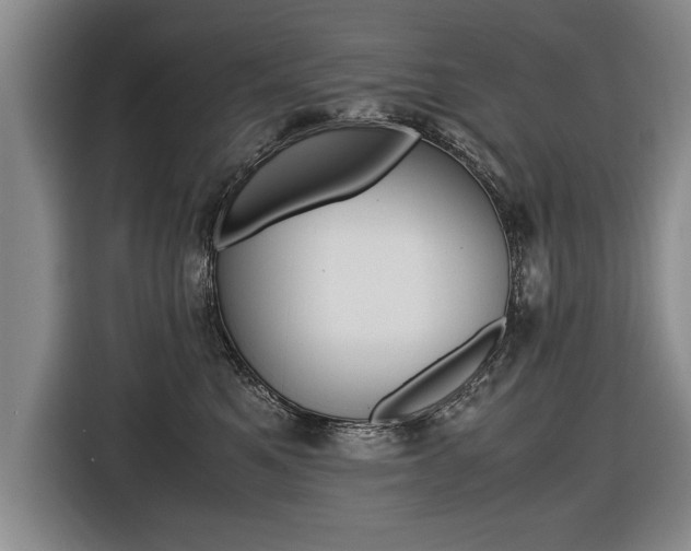 X0000116560521200912100946