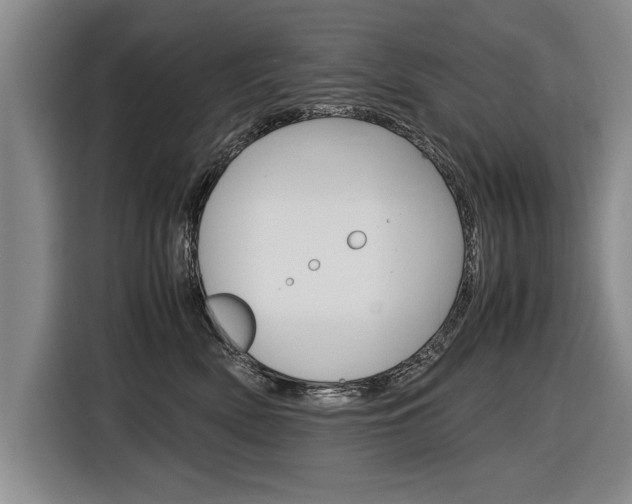 X0000116560522200912100946