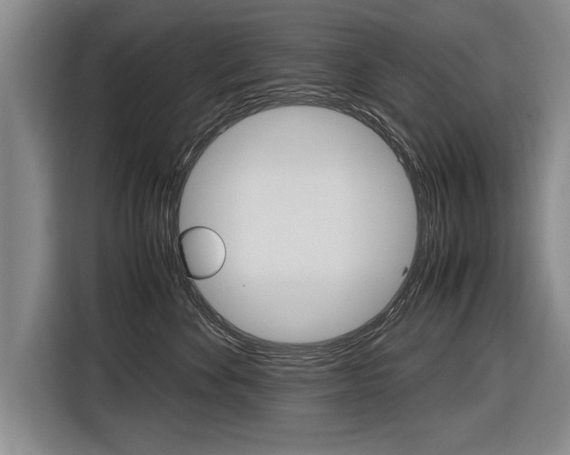 X0000116560524200912100946