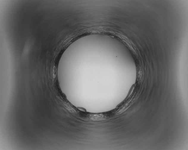 X0000116560525200912100946
