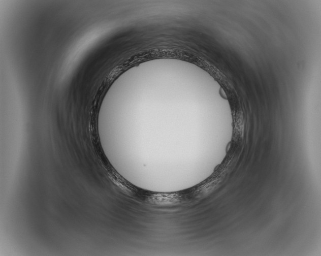 X0000116560526200912100946