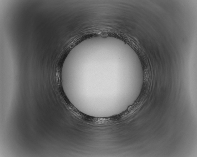 X0000116560527200912100946