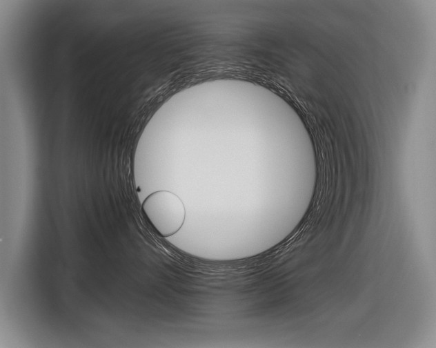 X0000116560528200912100946