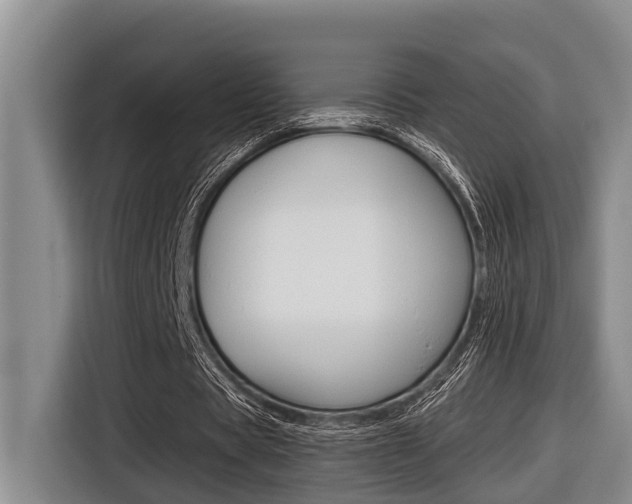 X0000116560529200912100945