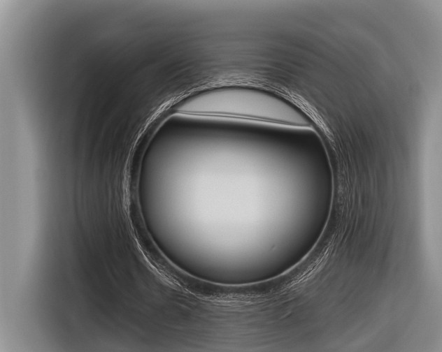 X0000116560530200912100945