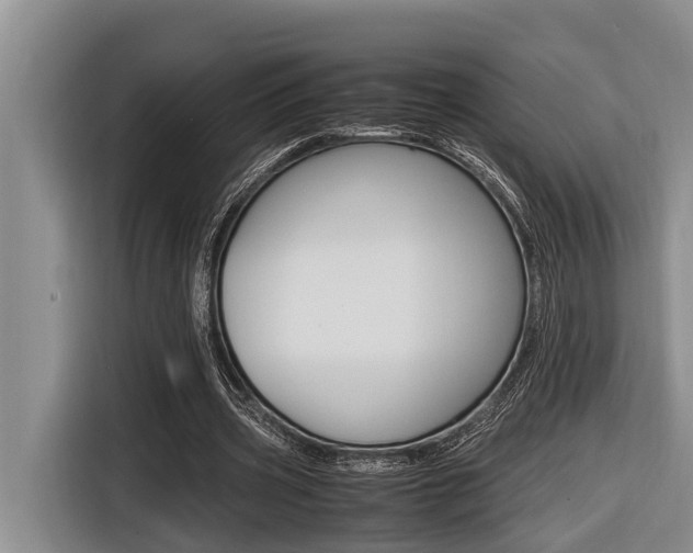 X0000116560533200912100945