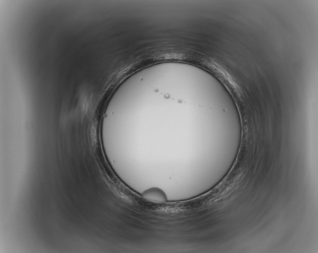 X0000116560537200912100945