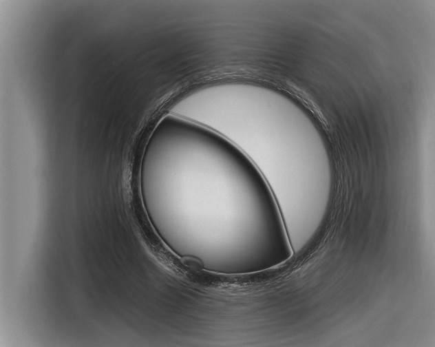 X0000116560538200912100945