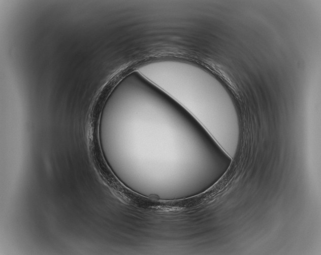 X0000116560539200912100945