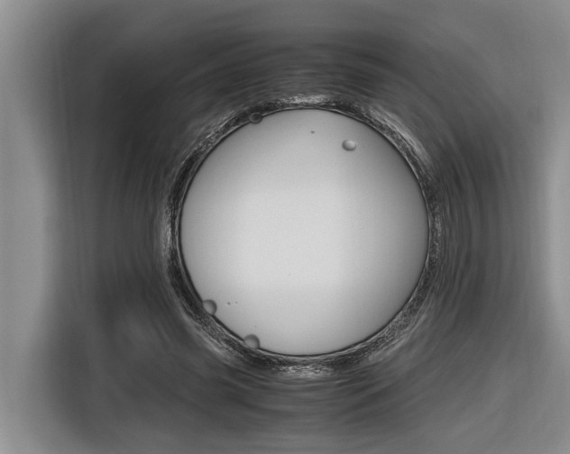 X0000116560541200912100945