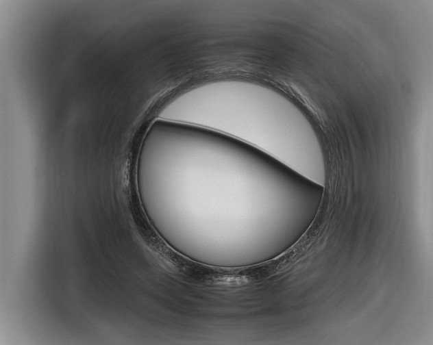 X0000116560543200912100945