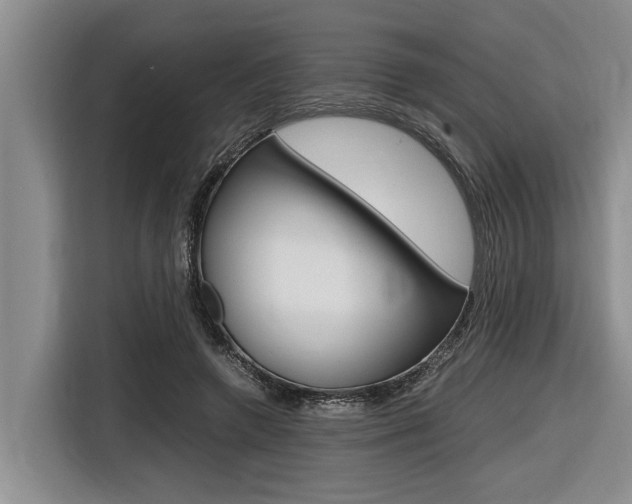 X0000116560546200912100945