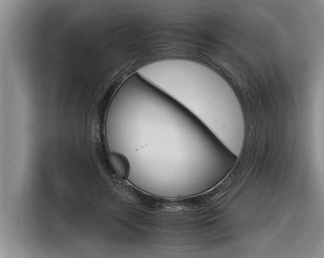 X0000116560547200912100945