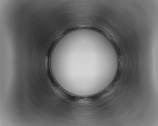X0000116560550200912100945