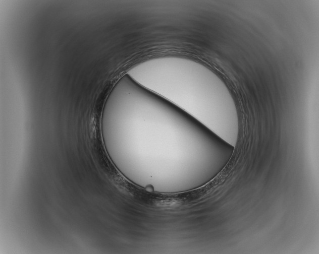 X0000116560551200912100945