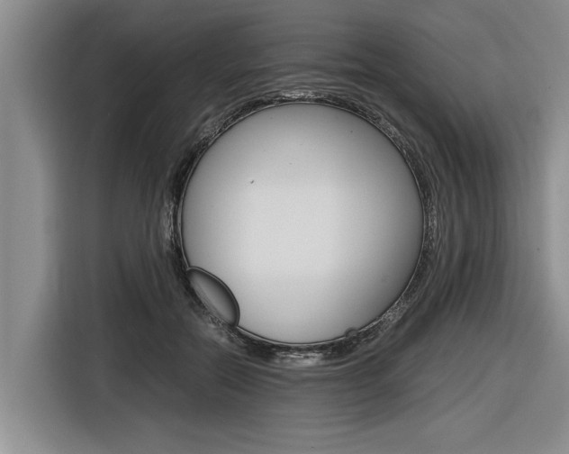 X0000116560554200912100945