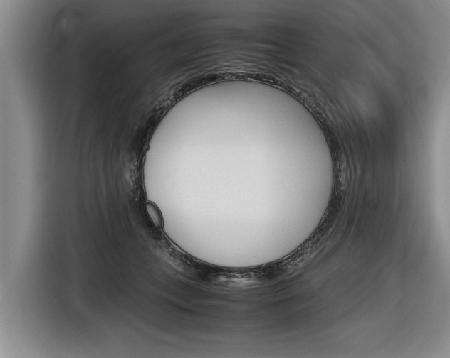 X0000116560559200912100945