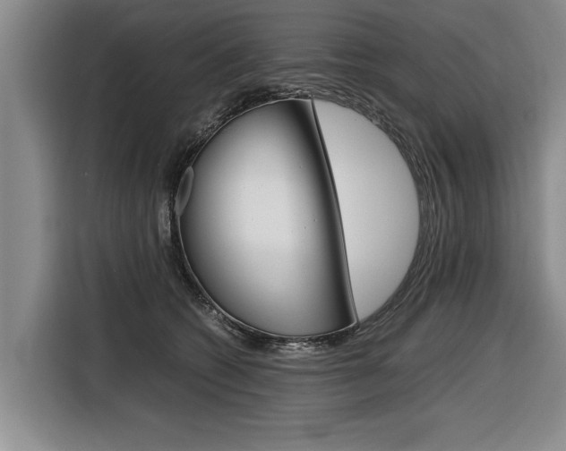 X0000116560562200912100946