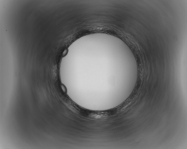 X0000116560563200912100946