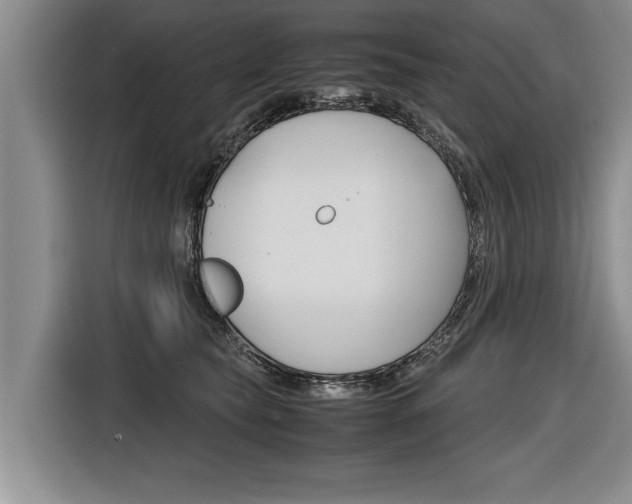 X0000116560565200912100946