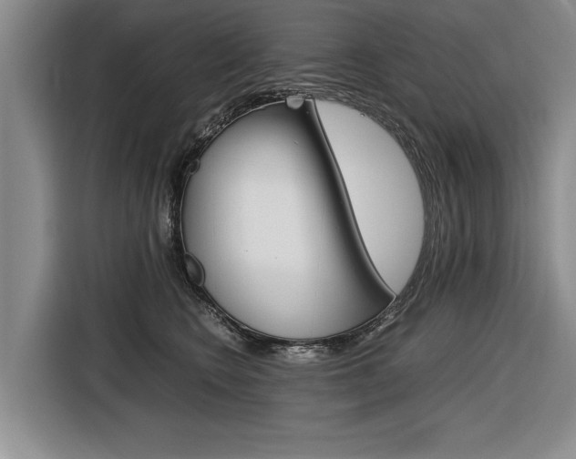 X0000116560566200912100946