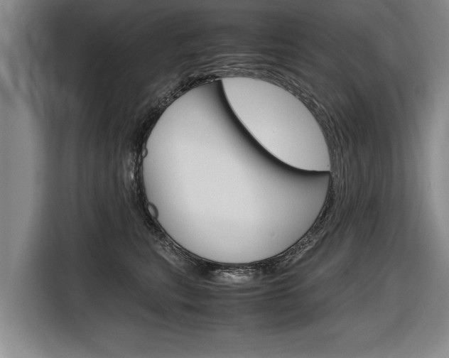 X0000116560567200912100946