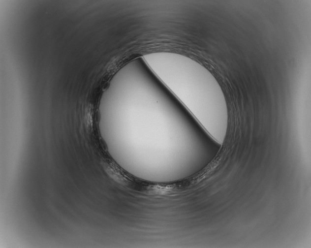 X0000116560570200912100946