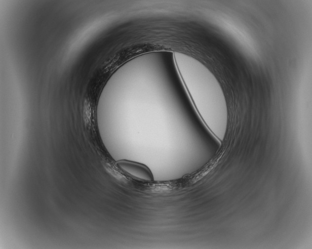 X0000116560574200912100946