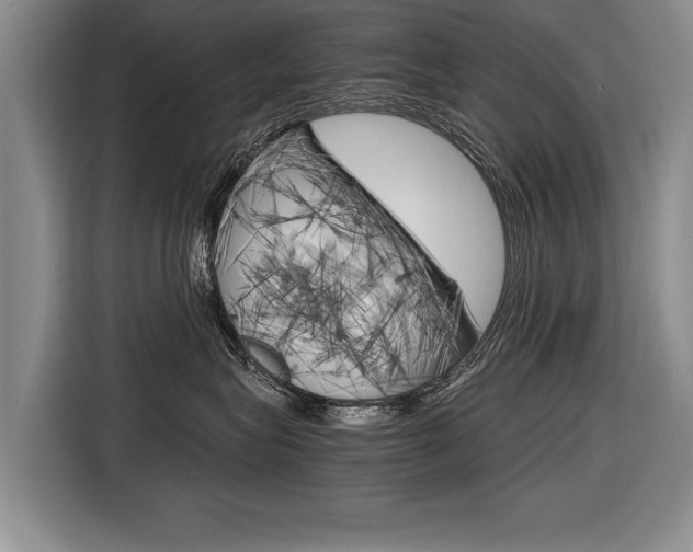 X0000116560575200912100946