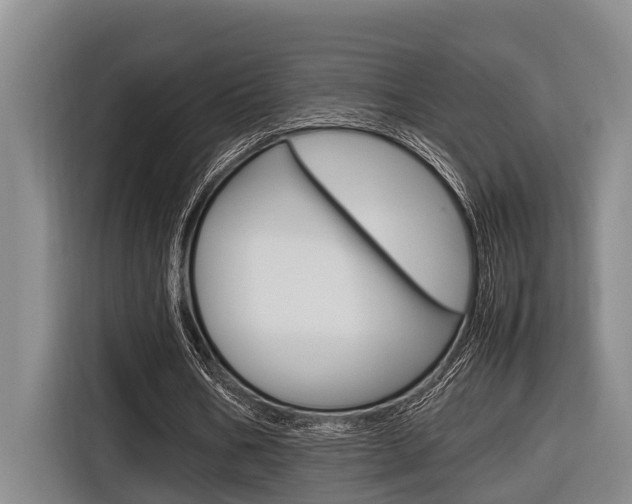 X0000116560578200912100945
