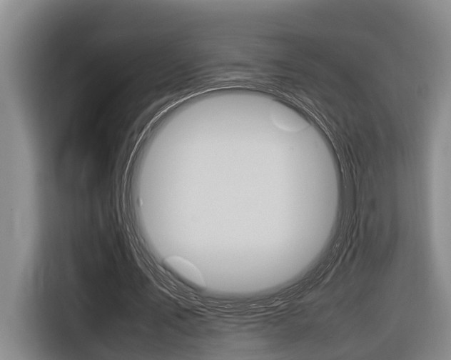 X0000116560579200912100945