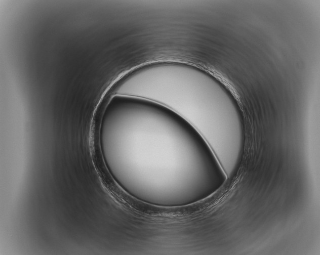 X0000116560580200912100945