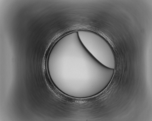 X0000116560582200912100945