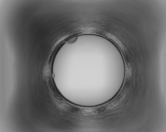 X0000116560583200912100945