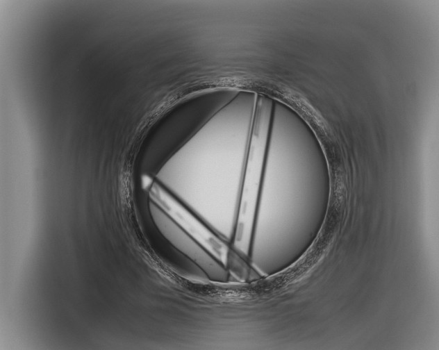 X0000116560585200912100945