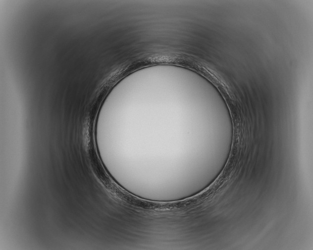 X0000116560586200912100945