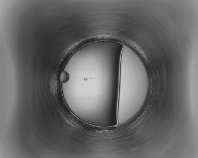 X0000116560588200912100945