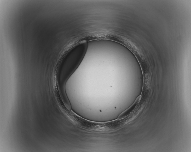 X0000116560589200912100945