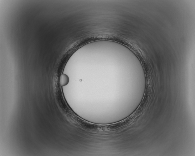 X0000116560591200912100945