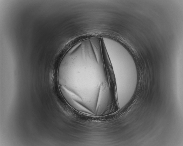 X0000116560592200912100945