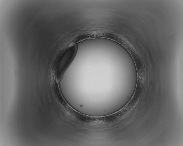 X0000116560593200912100945