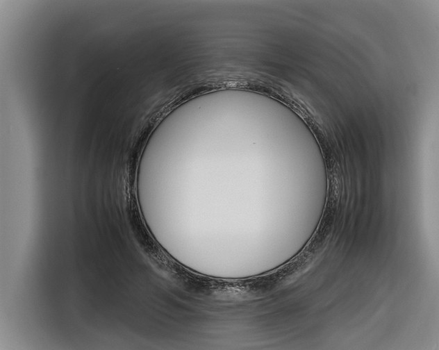 X0000116560594200912100945